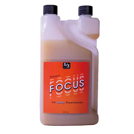 Focus