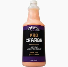 Pro Charge Reconditioning Spray