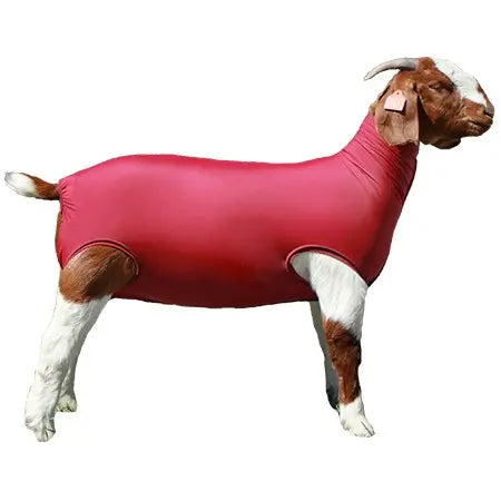 Performance Spandex Goat Tubes