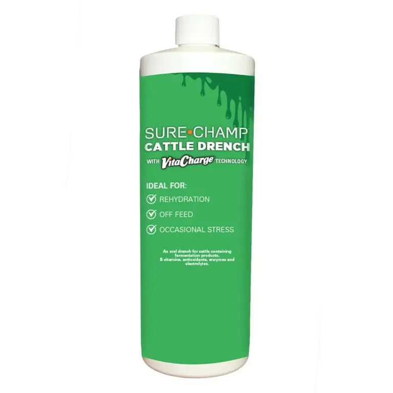 Sure Champ Cattle Drench
