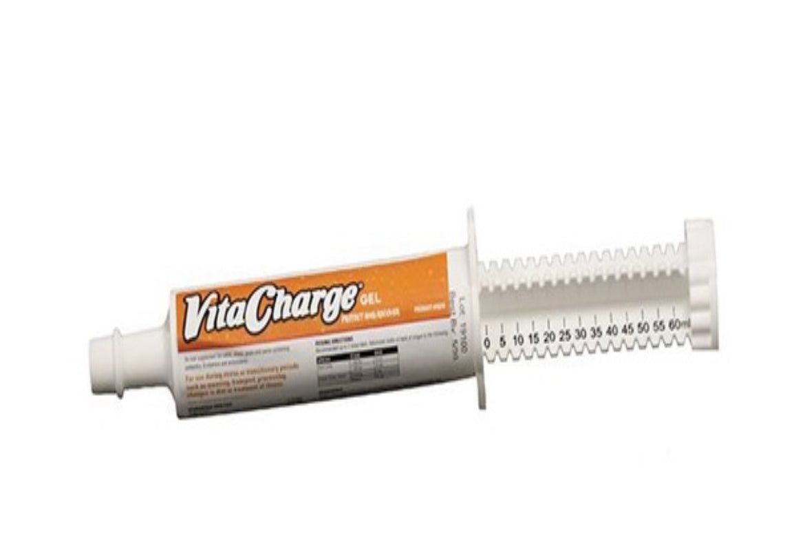 Vita Charge Gel