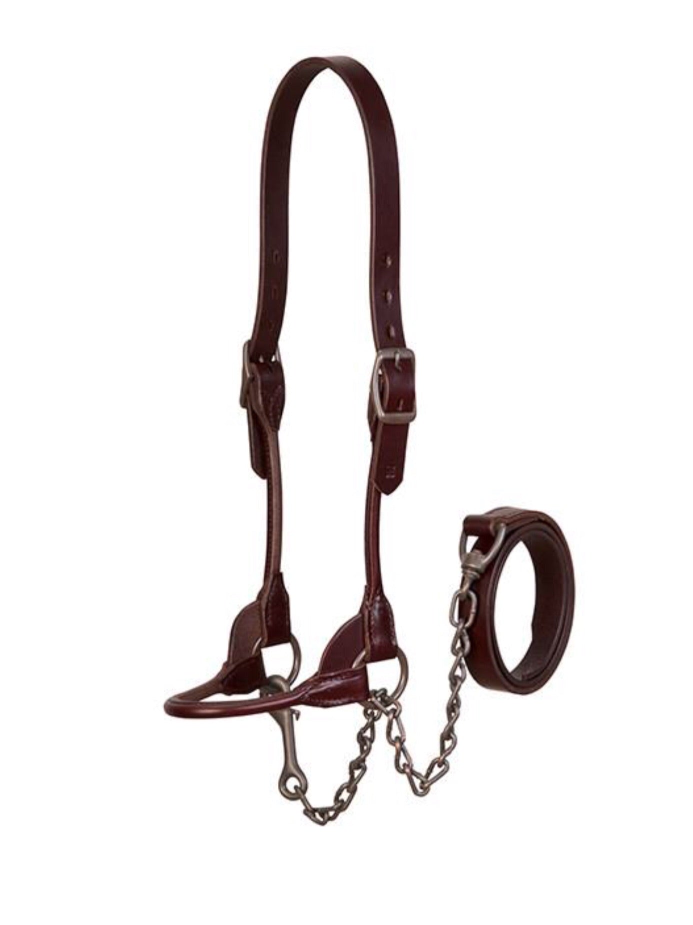 Brown Bombshell Show Halter