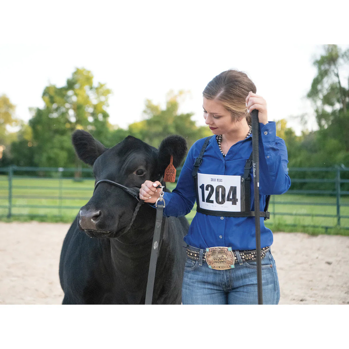 Show Sticks & Pig Whips