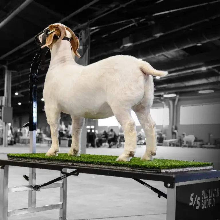 Equipment, Buckets & Feeders