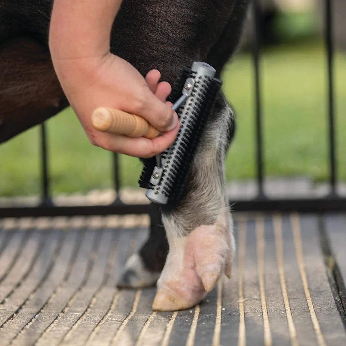 Brushes & Combs