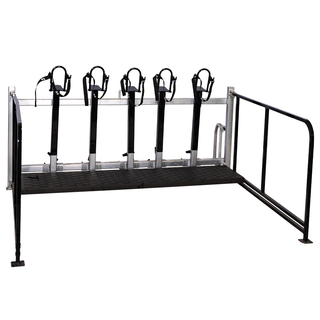 5 Head Aluminum Show Rail