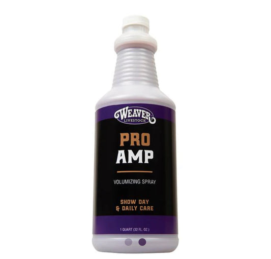 Pro Amp