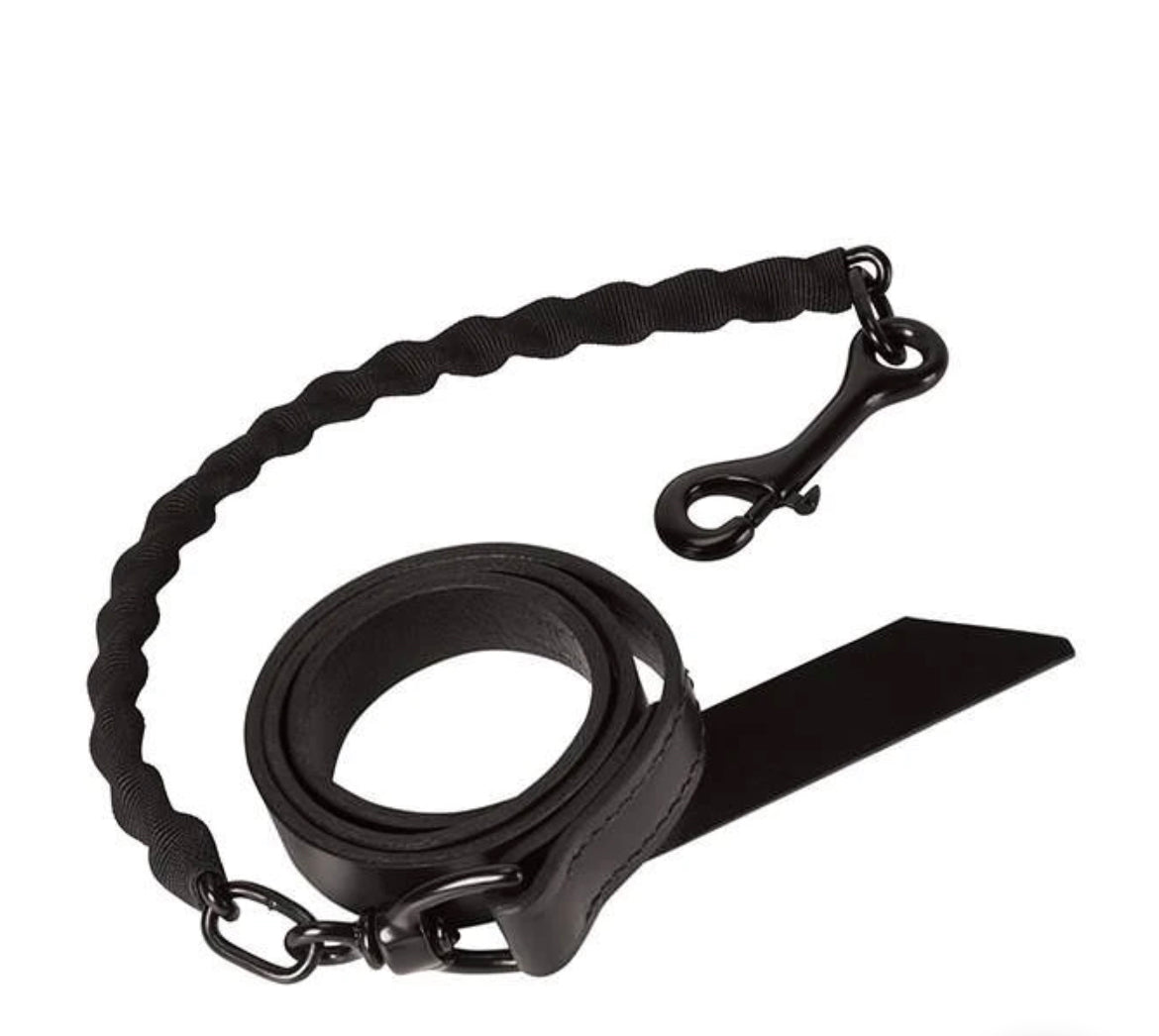 Brahma Webb Covered Chain Lead