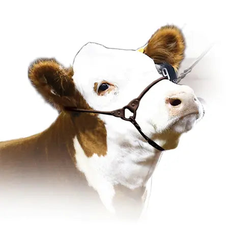 Incognito Show Halter