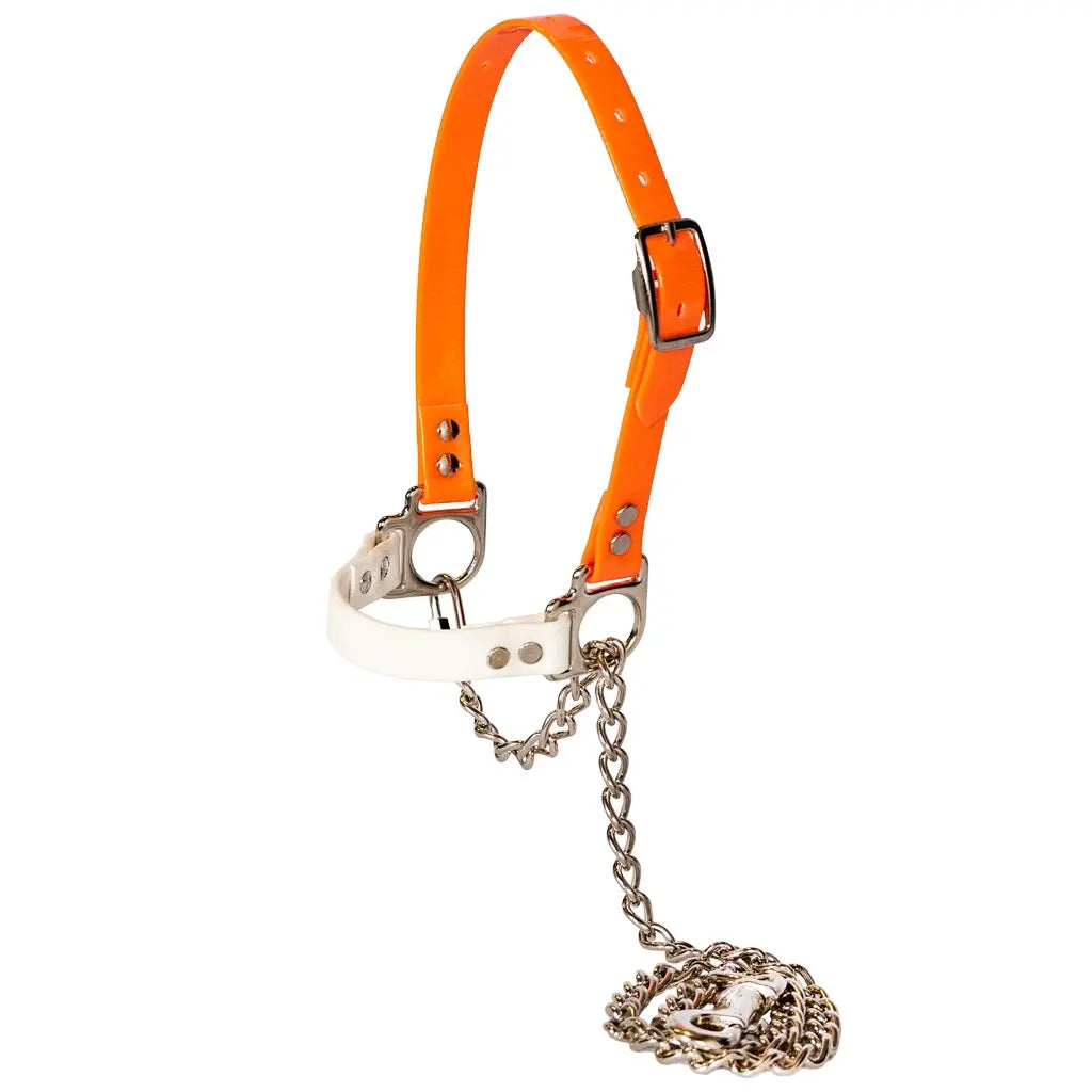 Next Level Chain Halters