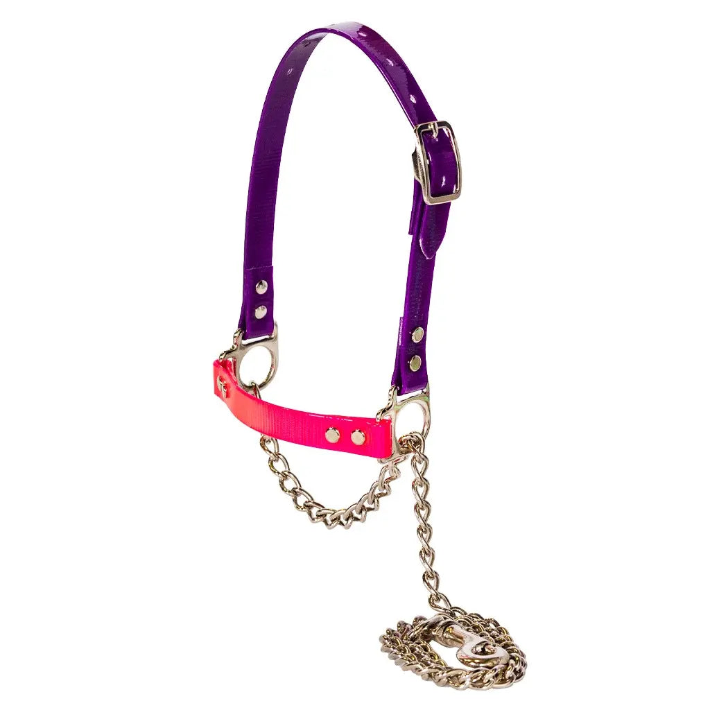 Next Level Chain Halters