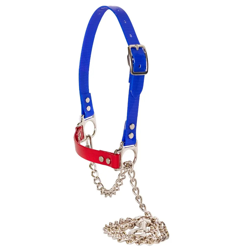 Next Level Chain Halters