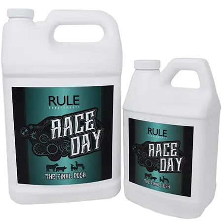 Race Day by Rule Supplements