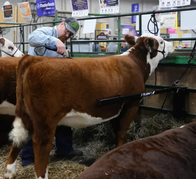 Straight Up Bars (Set of 2) Black