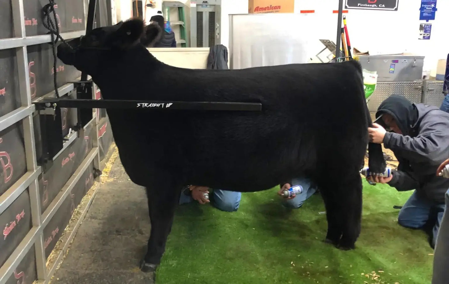 Straight Up Bars (Set of 2) Black