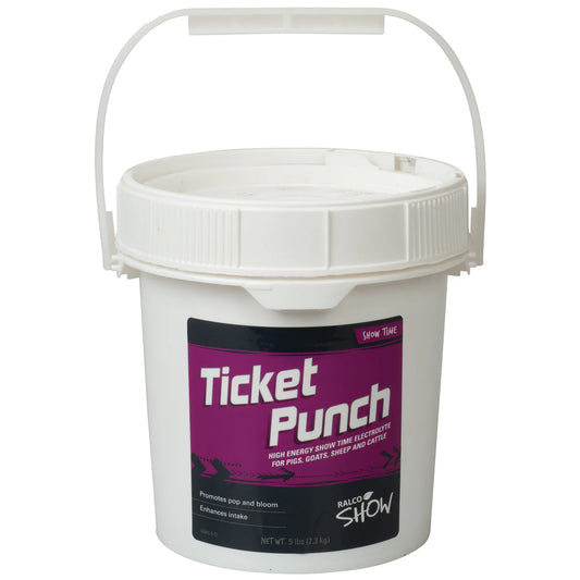 Ticket Punch