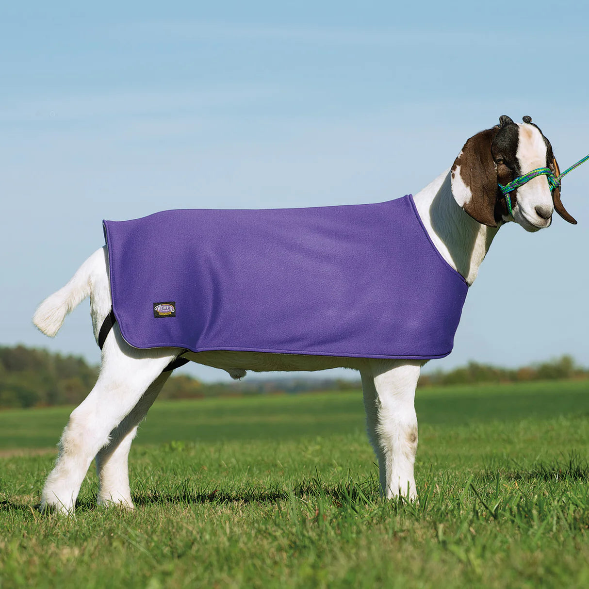 Sheep & Goat Underblanket