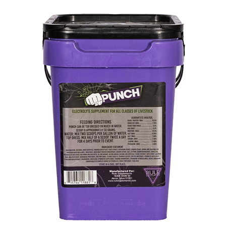 Wintex Punch By Rule