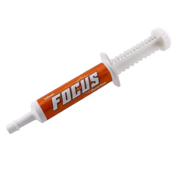 Focus