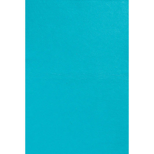 Ultra-Absorbent Chamois