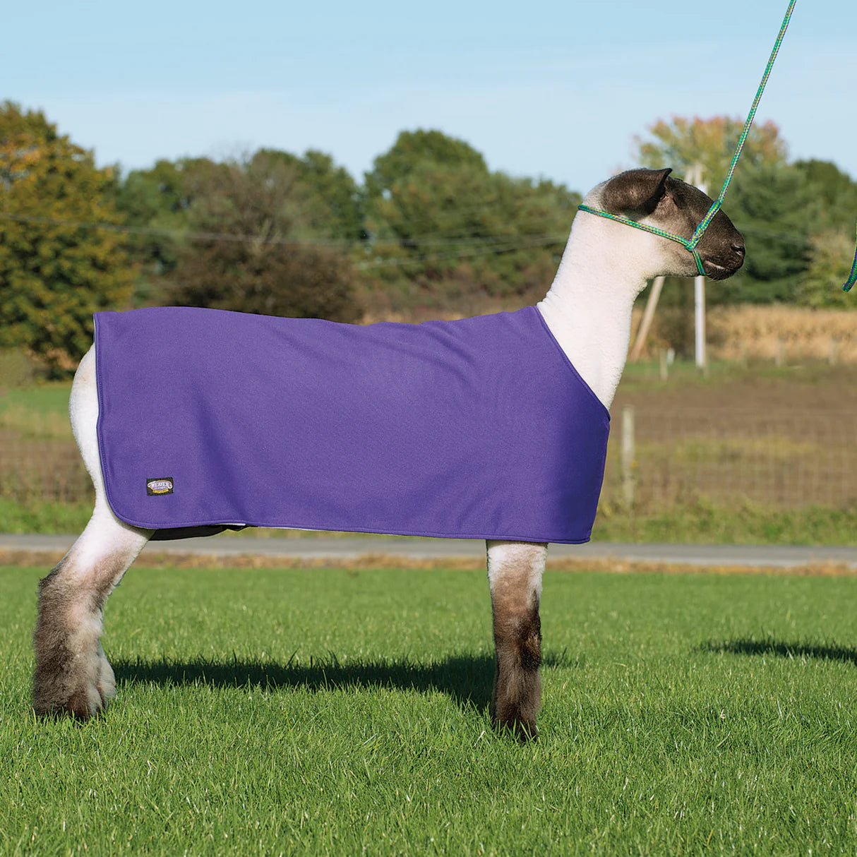 Sheep & Goat Underblanket