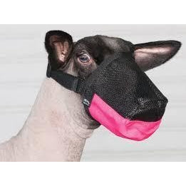 Deluxe Adjustable Sheep Muzzle-Weaver Leather Livestock-Ludlow Livestock Supply