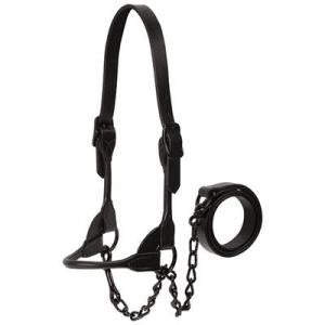 Black Magic Show Halters