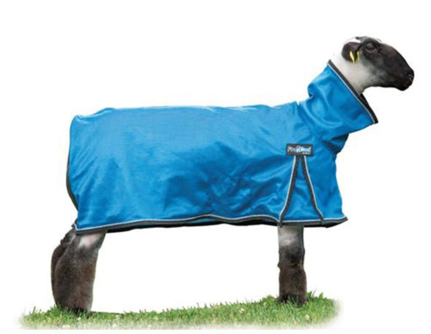 Pro Cool™ Sheep Blanket with Reflective Piping, Mesh Butt