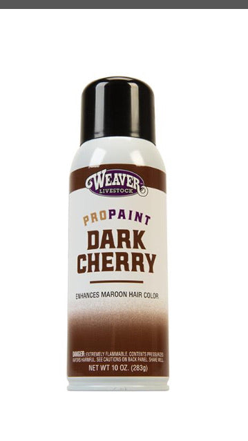 Pro-Touch Dark Cherry Paint