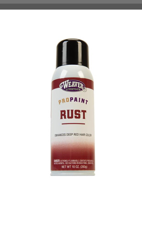 Pro-Touch Rust Paint