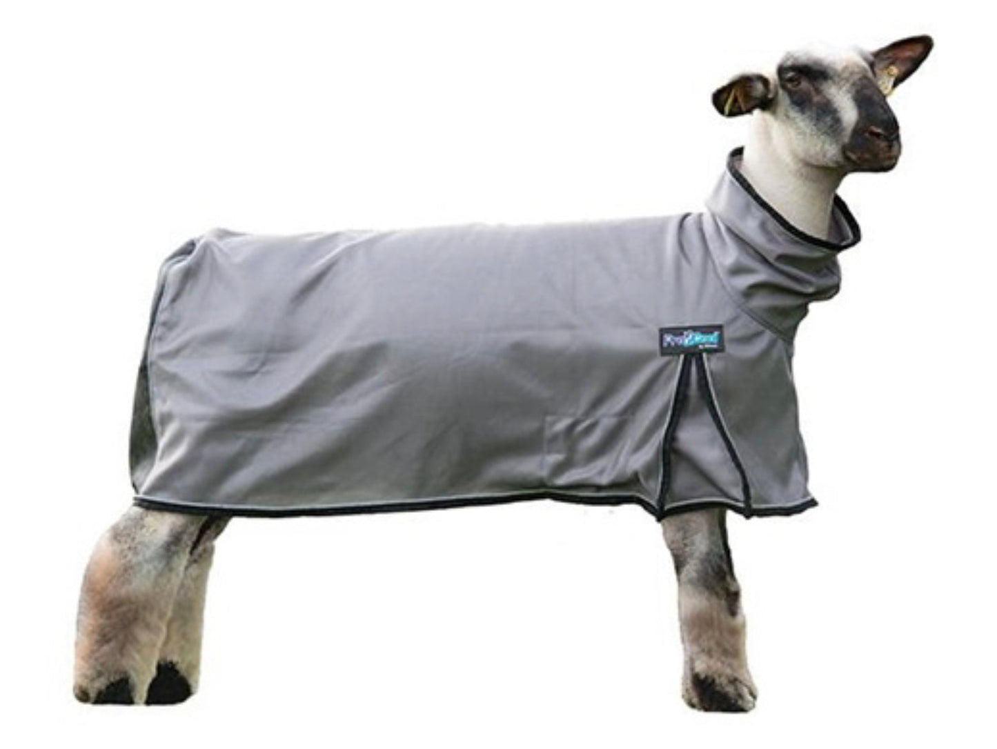 Pro Cool™ Sheep Blanket with Reflective Piping, Mesh Butt