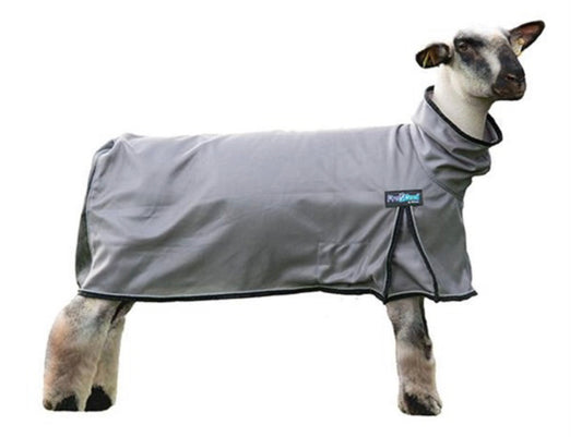 Pro Cool™ Sheep Blanket with Reflective Piping, Mesh Butt
