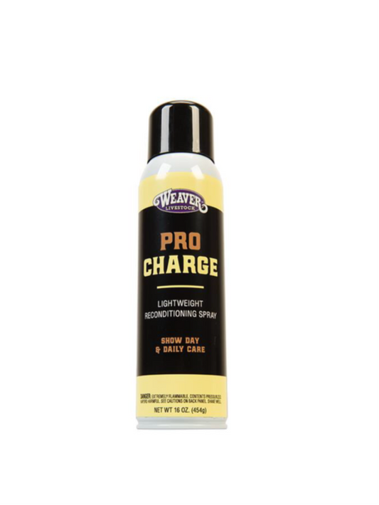 69-2201- ProCharge Reconditioning Spray