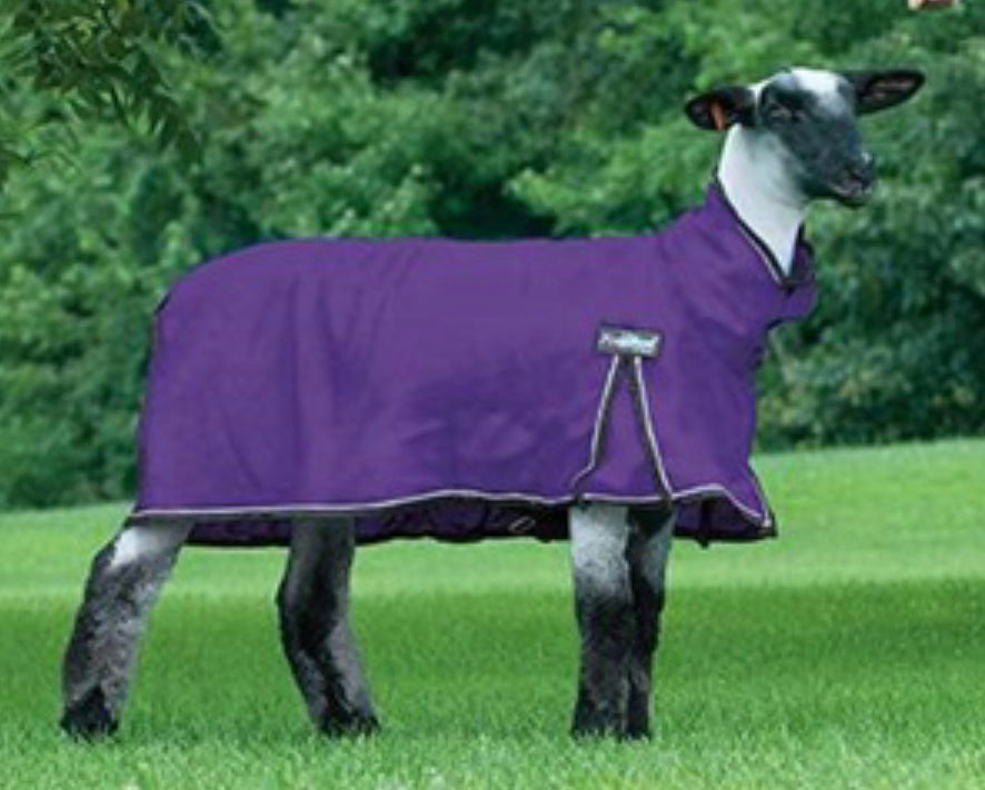Pro Cool™ Sheep Blanket with Reflective Piping, Mesh Butt