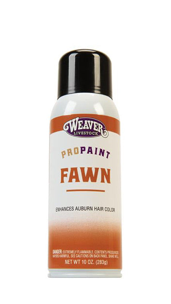 Pro-Touch Fawn Paint