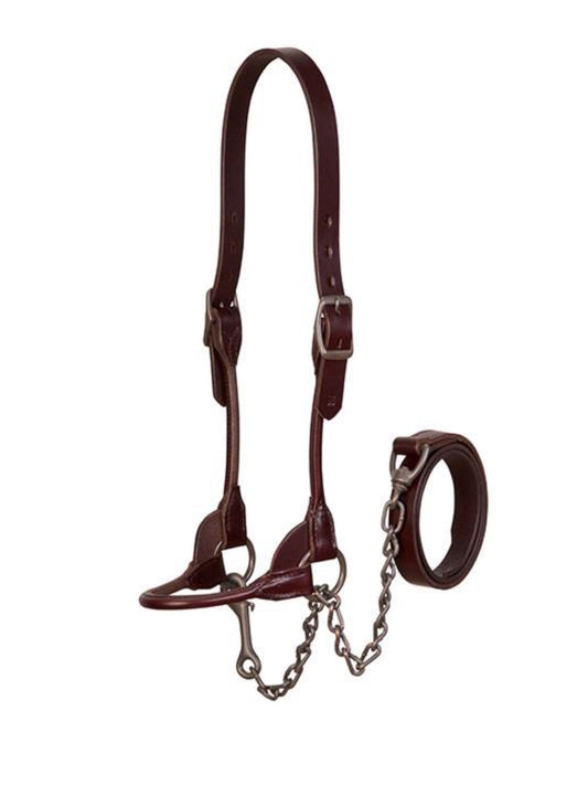 Brown Bombshell Show Halter