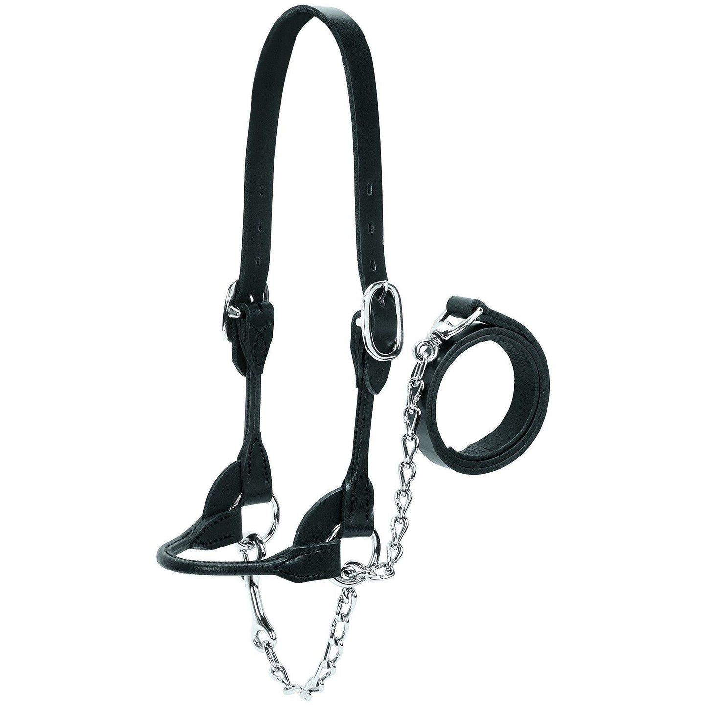Round Show Halter, Black, Sizes S, M, L, XL-Weaver Leather Livestock-Ludlow Livestock Supply