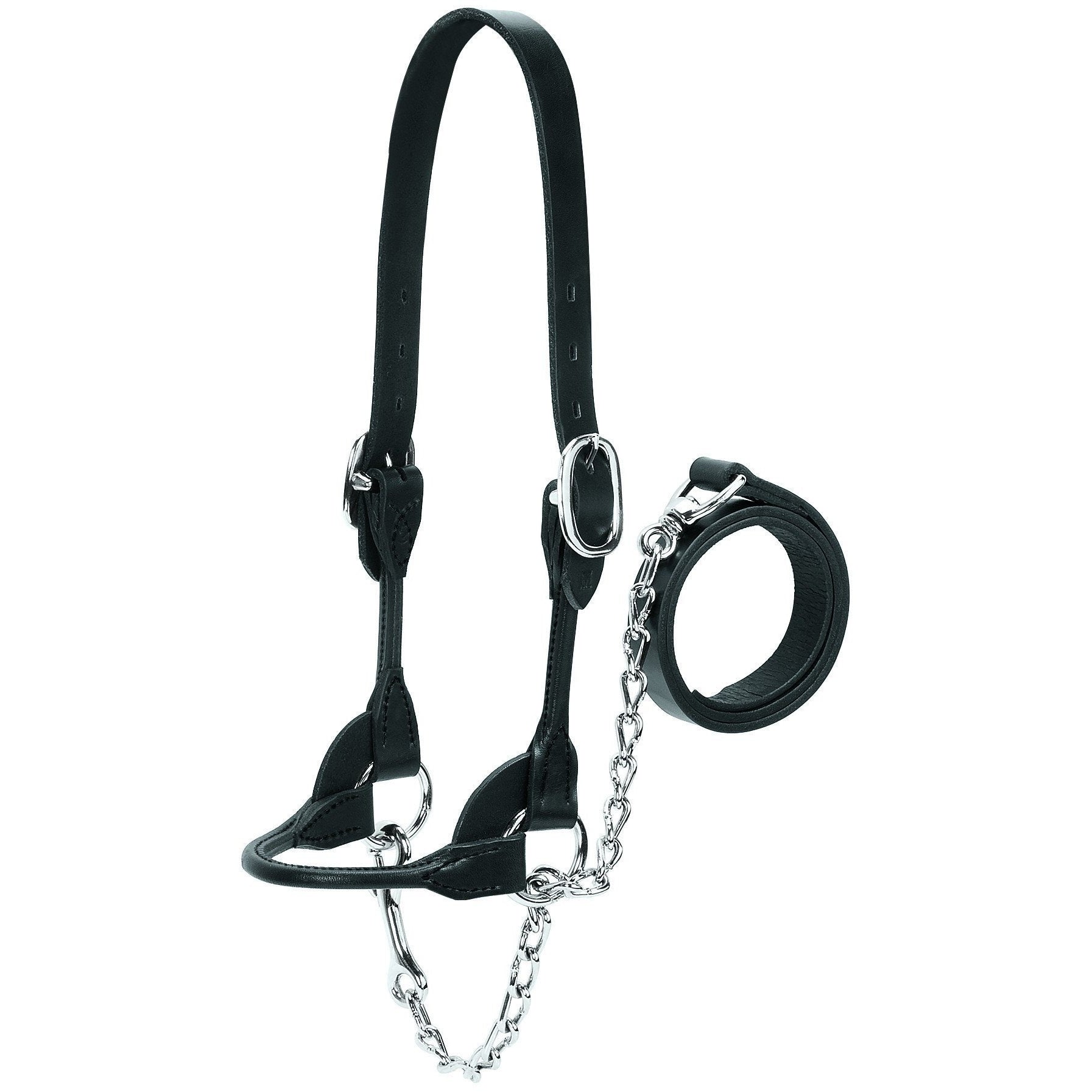 Round Show Halter, Black, Sizes S, M, L, XL-Weaver Leather Livestock-Ludlow Livestock Supply