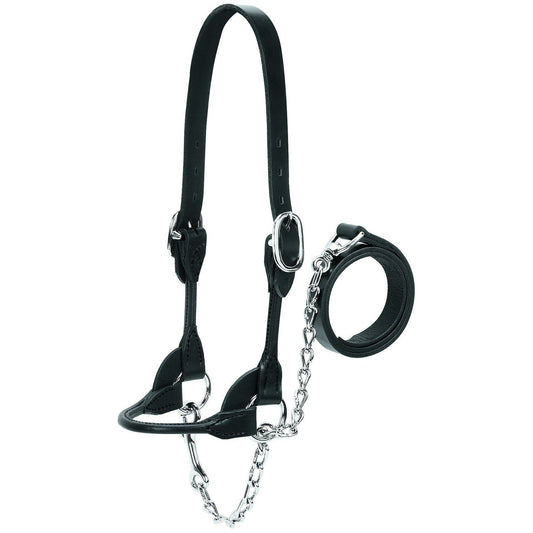 Round Show Halter, Black, Sizes S, M, L, XL-Weaver Leather Livestock-Ludlow Livestock Supply