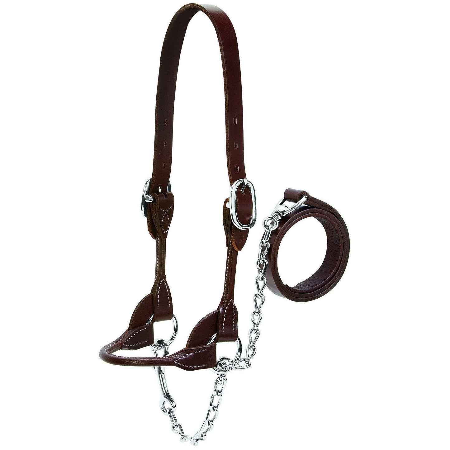 Round Show Halter, Brown, Sizes S, M, L, XL-Weaver Leather Livestock-Ludlow Livestock Supply